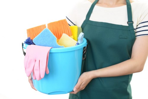 Professional window cleaning in W8 for bright, spotless residential windows