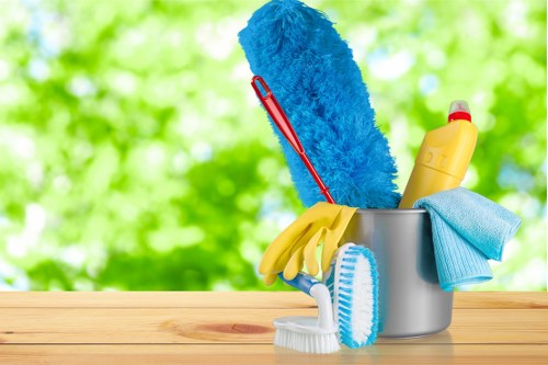 Professional carpet cleaning team following insurance and safety standards
