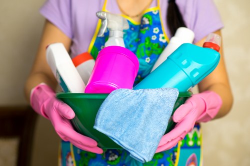 Professional carpet cleaning in W8 for a fresh home interior