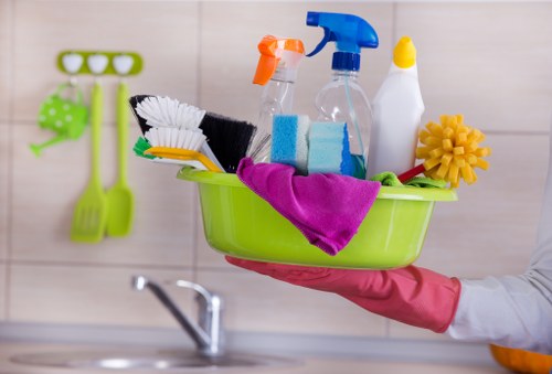 Professional carpet cleaning booking and inspection at a property