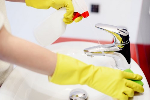 Professional domestic cleaning in a W8 home living room