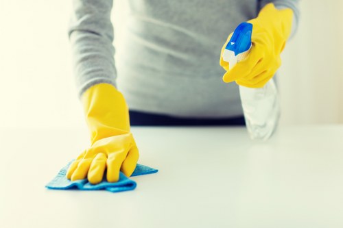 Professional carpet cleaner in W8 treating a home carpet
