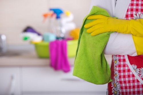 Cleaner using modern tools for streak-free window cleaning in W8