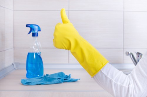 Final terms and conditions page for carpet cleaning services in the UK