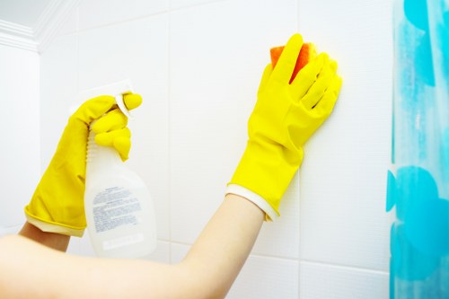 Logging a carpet cleaning concern for assessment