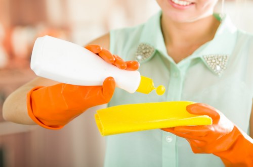 Deep cleaning and after builders cleaning service in W8
