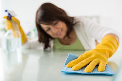 Domestic cleaners in W8 refreshing a modern living room