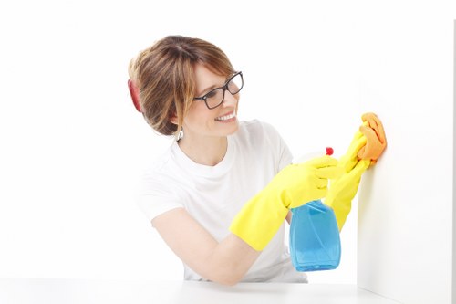 Carpet cleaning process with extraction equipment and treated flooring