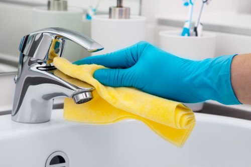 Domestic cleaning tasks in W8 including kitchen and bathroom care