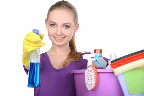 Investigation of carpet cleaning service issue